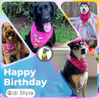 Dog Birthday Bandana - Image 5