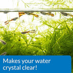 API ACCU-CLEAR Freshwater Aquarium Water Clarifier 4-Ounce Bottle - Image 5