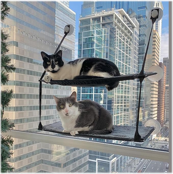 K&H Pet Products EZ Mount Double Stack Cat Window Perch by KHPetProducts