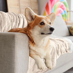 PETMAKER Dog Blanket - Image 6
