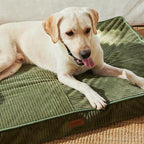 FUKUMARU Dog Bed, Thickened Corduroy Orthopedic Dog Beds - Image 8