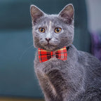 PET SHOW 8pcs Plaid Small Dogs Collar Bow Ties Puppies Cats Collar Charms - Image 8
