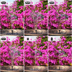 AISITIN Solar Fountain with 3.5 W Solar Panel, 1500 mAh Battery - Image 5