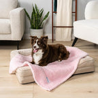 PetAmi Dog Blanket for Small Dogs Pink, Fluffy Soft Puppy Blanket, Sherpa - Image 3