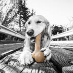 Pet Qwerks Original BarkBone - Image 3