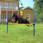 Pet Prime Dog Agility Training Equipment by PetPrime