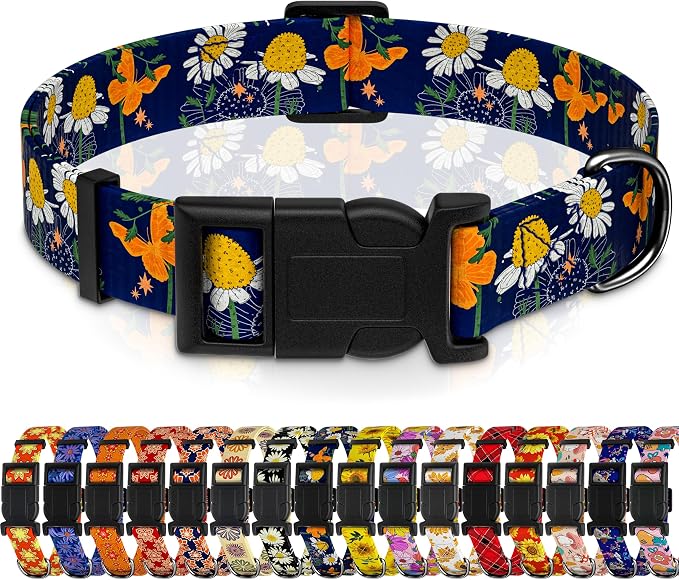 Dog Collar with Butterflies Print, Daisy Boys Girls Puppy Collar by Seyezo