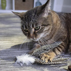 Petlinks HappyNip Zippy Zebra Feather Cat Toy, Contains Silvervine & Catnip - Image 5