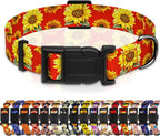 Dog Collar, Floral Boys Girls Puppy Collar by Seyezo