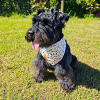 Birthday Dog Bandanas Medium Large, Colorful Sprinkle Stripes, Reversible Soft - Image 2