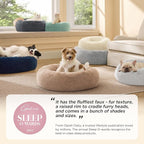 Bedsure Calming Cat Beds for Indoor Cats - Image 2