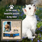 Memorial Gifts Customized Dog Picture Frame Dog Loss Sympathy Gift Personalized - Image 6