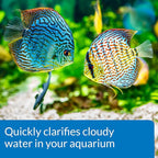 API ACCU-CLEAR Freshwater Aquarium Water Clarifier 8-Ounce Bottle - Image 6