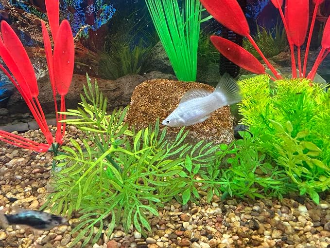 Aquarium Stone for Natural Water Clarification and Odor Removal Featuring - Image 7
