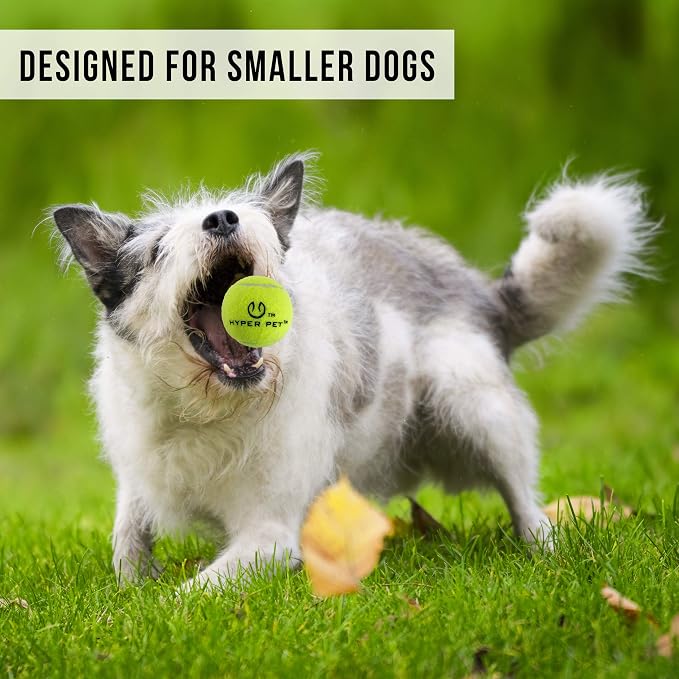 Hyper Pet MINI K9 Kannon Dog Ball Thrower Launcher - Image 5