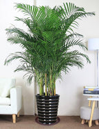 4 Pack of 14 inch Plant Saucer, Heavy Duty Round Plant Trays - Image 6