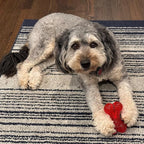 SPOT Play Strong Bone- Durable TPR Long Lasting Dog Chew - Image 2