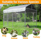 Outdoor Dog Kennel Large with Roof, Dog Run Enclosure, Large Outside Heavy Duty - Image 5