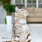 CollarDirect Leather Cat Collar - Image 7