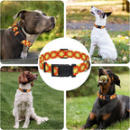 Dog Collar, Classical Indian Spirit Boys Girls Puppy Collar - Image 6