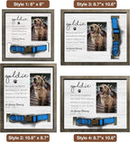 Customized Dog Collar Frame Memorial Pet Loss Sign - Image 4