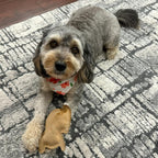 SPOT Dura-Fused Leather Rabbit Dog Toy – Durable Real Leather & Jute Chew Toy - Image 6