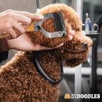 Pet Dematting Comb for Dogs and Cats - Image 5