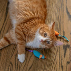 Catstages Catnip Chew Mice 2 Pack– Interactive Dental Cat Chew Toy that Helps - Image 8