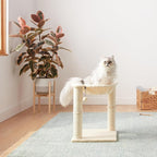Amazon Basics Cat Tower with Hammock Bed and Scratching Post - Image 6