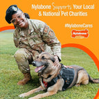 Nylabone Original Bone Flexi Chew Toy - Image 9