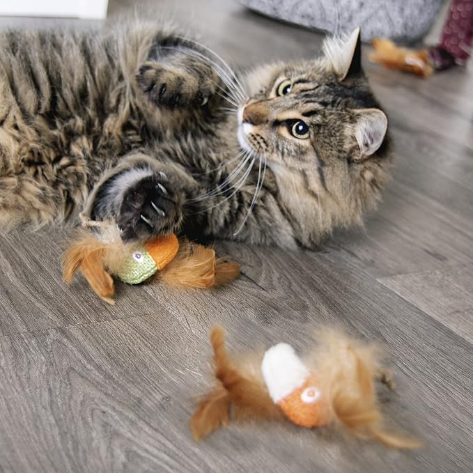 Petlinks HappyNip Love Birds Cat Toys, Contains Silvervine & Catnip - Image 5