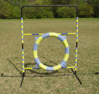 Agility Tire Jump - Image 4