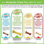 Nylabone Moderate Chew Flexi Chew Bone Peanut Butter & Bacon XX-Small/Tiny - Image 10