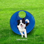 Dog Agility Tunnel, Dog Agility Equipment, Dog Agility Training - Image 6