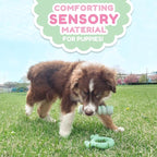 Nylabone Sensory Material Soothing Puppy Chew Toy Stick, Toys - Image 5