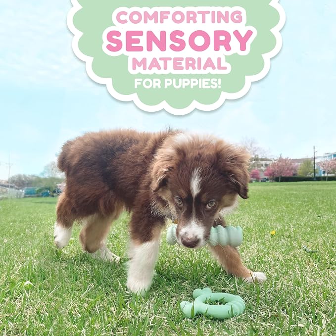 Nylabone Sensory Material Soothing Puppy Chew Toy Stick, Toys - Image 5
