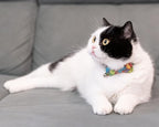 Collar for Cat Pet Breakaway - Image 2