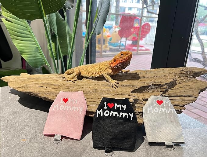 Bearded Dragon Carrier Backpack - Image 6