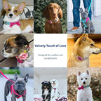 Blueberry Pet Adjustable Flocking Dog Collar - Image 6
