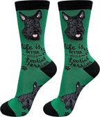E&S Pets Pet Lover Socks by ESPETS