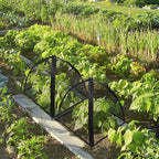Strawberry Plant Protector, Plant Protection Tent - Image 6
