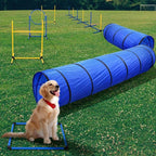 Dog Agility Training Equipment, Dog Agility Course Backyard Set - Image 8