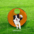 Dog Agility Tunnel, Dog Agility Equipment, Dog Agility Training - Image 5