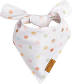 Remy+Roo Extra Large Spring Dog Bandanas - Image 5