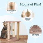 Cat Scratching Post - Image 2