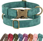 Didog Soft PU Leather Dog Collar, Stylish Quick Released Dog Collars by Didog