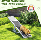 PawHut Wooden Dog Agility Seesaw - Image 5