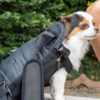 Mr. Pen- Pet Carrier Backpack, Weighing Up to 12 lbs, Adjustable Dog Carrier - Image 7