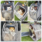 Cat Backpack Carrier, Pet Backpack Carrier Cats and Small Dogs, Collapsible - Image 5