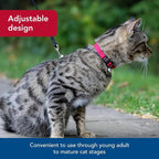 Coastal Pet New Earth Soy Adjustable Breakaway Cat Collar - Image 4